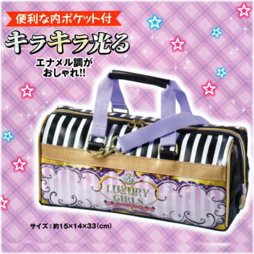 絵の具バッグ プリンセス【あす楽】【送料無料】画材バッグ