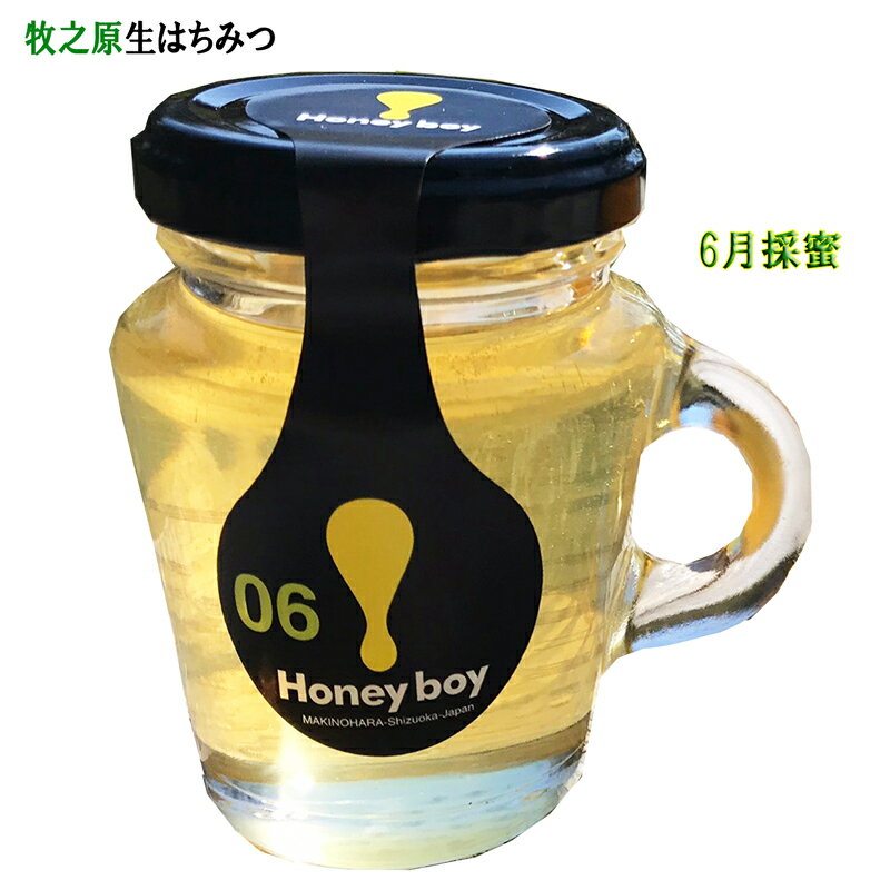 生はちみつ 静岡 牧之原 6月採蜜 Hanyboy 06 非加熱 なまはちみつ 無農薬 天然生蜂蜜 蜂蜜 無添加 ハニー 完熟純粋はちみつ 無 添加 非 加熱