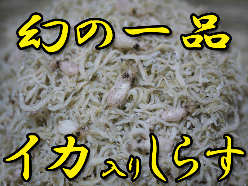 餹