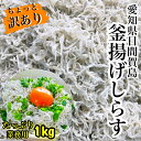 出来たて！数量限定！★送料無料★釜揚げしらす業務用1kg愛知県日間賀島産業務用釜揚げしらすしらす