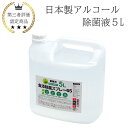 日本製 アルコール 除菌液 5L 業務用 食品添加物 手指消毒 除菌液 消毒液 国産 北陸優良企業で生産 エネックス製 Enex製 アルコール濃度65vol% 感染症対策 新型コロナウイルス対策 インフルエンザ対策 保育園向け 幼稚園向け 介護施設向け