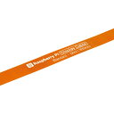 Raspberry Pi Raspberry Pi5用 FPCディスプレイケーブル(200mm)【SC1131】[ラズベリーパイ ラズパイ 春休み 夏休み 自由...
