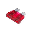 ノーブランド品 自動車用ヒューズ L 10A 【カーヒュズL10A】