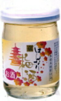 はんなり 京梅酒ミニ 9度　100ml×12本