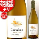 有名醸造長の造るチリ！ 当店ソムリエ旨い印！ カンタルナ シャルドネ 白 750ml(チリ・ワイン) ※年代は変ることがあります。