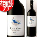 有名醸造長の造るチリ！ カンタルナ メルロー 赤 750ml(チリ・ワイン) ※年代は変ることがあります。