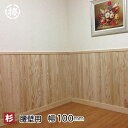 杉 羽目板（腰壁）無節・上小10×100×960mmハーフサイズ　15枚入り　1束　腰壁　板　日曜大工DIYに