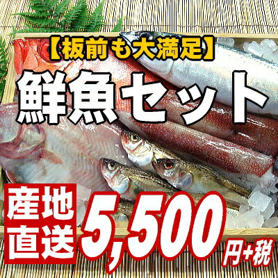 【ご贈答用の豪華版】越前旬の鮮魚詰め合わせ