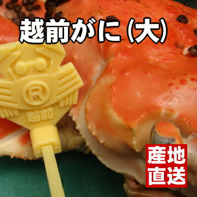 福井の味覚の王様登場！満を持してのブランドガニの販売です。こだわり抜いた極上越前ずわいがに【皇室献上1kgUP】【楽ギフ】