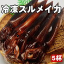 【肝も食べれる鮮度の良さが自慢!】お刺身用するめいか5杯セット【あす楽_関東】【楽ギフ_のし】