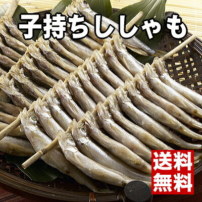 楽天市場 貴重な国産品 これが本物 北海道産 本ししゃも30尾 あす楽 楽ギフ 送料無料 海鮮問屋 まるうお