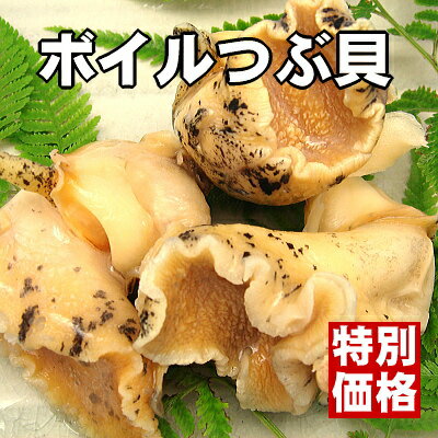ŷ̵źá۹餫Ĥֳֶũסڳڥ_Τ