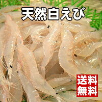 【富山湾の宝石】ほのかな塩味と濃厚な甘味のある極上白えび[送料無料]