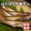 【越前塩と絶妙の干し加減!!】なんと1匹60円!自家製一夜干しハタハタ10匹【あす楽対応】