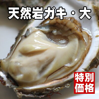 ڤޤޤȤǽȾ绺ŷ䥬