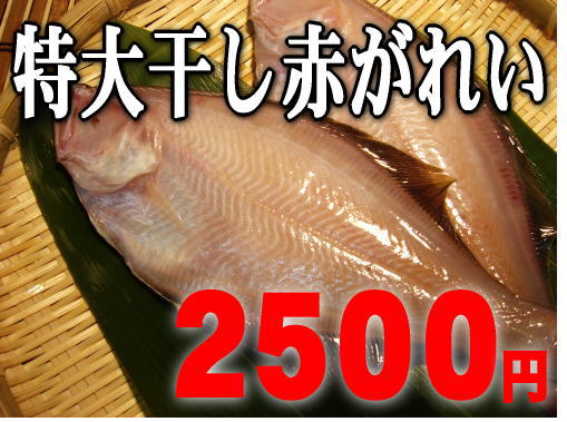 【福井で1番人気】ボリューム満点一夜干赤がれい5匹