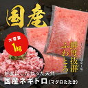 ネギトロ 1kg 1キロ ねぎとろ 国産 大量 大容量 魚介 海産物 鮮魚 直送 冷凍 魚 さかな 冷凍 おかず 海鮮 海鮮丼 海鮮丼の具 丼 ネギトロ丼 ねぎ...