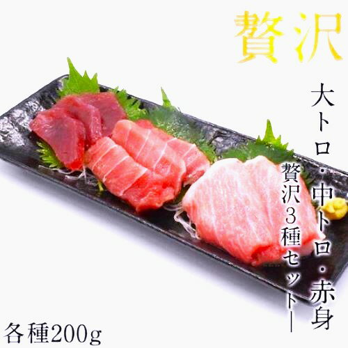 本マグロ 大トロ 中トロ 中とろ 本鮪 赤身 200g 柵 合計600g 3種 鮪 まぐろ 刺し身 刺身 お刺身 冷凍 マグロ トロ ブロック 詰合せ 鮮魚 セット 冷凍まぐろ 冷凍マグロ マグロ丼 本まぐろ 直送 冷凍 魚 切り身 おかず 海鮮丼 手巻き寿司 お取り寄せ 取り寄せ グルメ