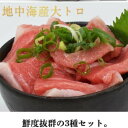 本マグロ 本まぐろ 大トロ 柵 3柵入り 500g