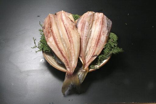 特大サイズ シマホッケ干物 特大サイズ シマホッケ干物