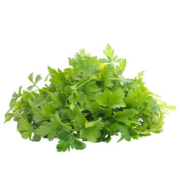 国産 フレッシュイタリアンパセリ 100g / Italian parsley, Fresh, 100g