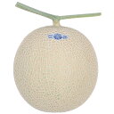 ＜贈答用＞ 静岡クラウンメロン 山 等級(約1.4kg) / Shizuoka Crown Melon, 