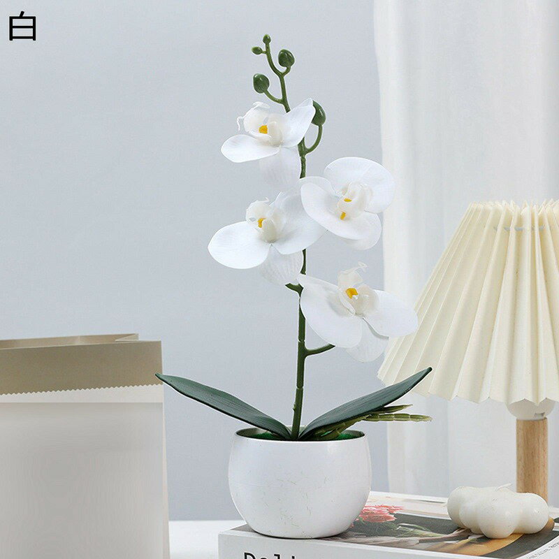 Other - 胡蝶蘭 ミニ 造花 枯れない花 造花インテリア 観葉植物 装飾花 花束 リアル かわいい 本物そっくり 花瓶 簡単世話いらず おしゃれ モダン 北欧 贈り物 プレゼント 飾り用 お見舞い ブーケ