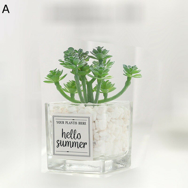 人工観葉植物 リアル 多肉植物 本物そっくり インテリアグリーン フェイクグリーン 害虫駆除不要 北欧風 モダン シンプル オフィス ins 観葉植物 ガーデン 装飾 宴会 飾り用 部屋 ナチュラル