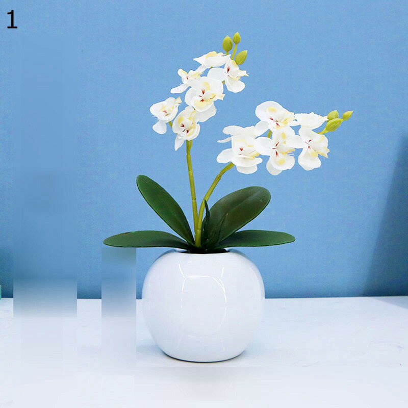 Other Succulents - 造花 花束 胡蝶蘭 ミニ花器 鉢植え 造花グリーン 装飾花 フェイク花 リアル 本物そっくり 花瓶付き 害虫駆除不要 北欧風 ins おしゃれ ホーム 撮影小道具 パーティー オフィス 贈り物