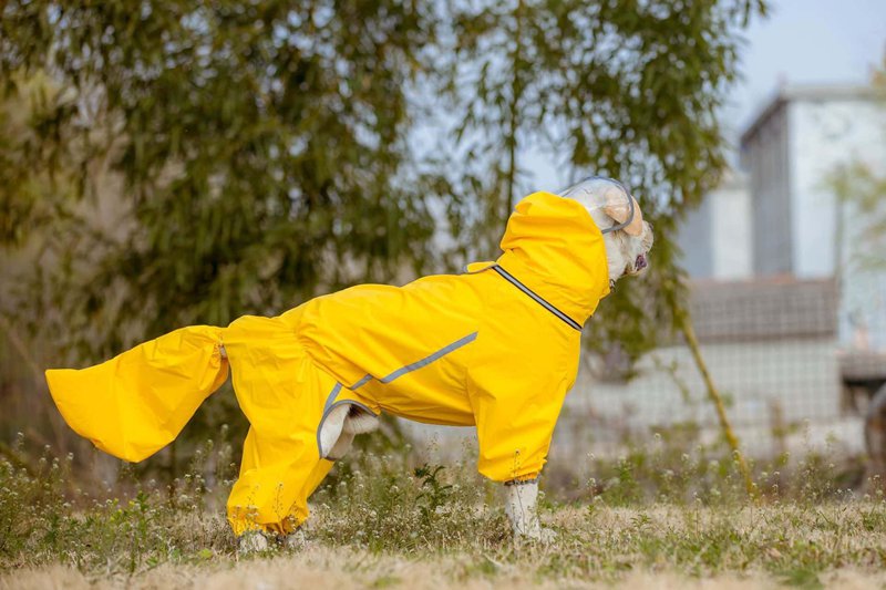 　　　 ◆◇◆売れている秘密◆◇◆ 【全身を雨から守るデザイン】愛犬のしっぽまですっぽり包み込むフルカバー レインコートです。鮮やかなブルーのデザインは雨の日でも視認性が高く、おしゃれでスタイリッシュ。この犬用レインコートを着れば、水はねや泥汚れを徹底的に防ぎ、お散歩後のシャンプーやお手入れの手感と手間を大幅に減らせます。 【優れた防水性と視界確保】撥水性に優れた防水 ペットカッパは、大雨の日でも愛犬の体を濡らしません。顔周りを覆うフード部分には透明バイザーを採用し、雨を防ぎながらも愛犬のクリアな視界を確保します。雨の日のお散歩も視界が遮られないため、怖がりなワンちゃんでも安心して歩くことができます。 【夜間も安全なお散歩】反射テープがデザインの一部としてあしらわれており、薄暗い雨の日や夜間の視認性を高める大型犬 レインウェアです。車や歩行者からの視認性が向上し、安全にお散歩を楽しめます。体に優しくフィットし、ワンちゃんの自由な動きを妨げない設計で、快適な着心地を提供します。 【蒸れにくくお手入れ簡単】肌触りが良く通気性に優れた素材を使用しており、着用時のムレを軽減する快適な犬の 雨具です。耐久性が高く、汚れてもシャワーでサッと洗い流すだけで汚れが落ちるため、毎日のお手入れがとても簡単。しっかりとした縫製で、活発に動くワンちゃんの普段使いに最適です。 【中大型犬にぴったり】ゴールデンレトリバーやラブラドールなどの大型犬から、ボーダーコリーなどの中型犬まで幅広く対応する中型犬 大型犬用 雨具です。着脱も簡単で、お出かけ前の準備がスムーズに行えます。愛犬との雨の日のライフスタイルをより豊かで快適にする、プレゼントにも最適な犬用雨合羽です。 　　　◆◇◆注意事項◆◇◆ご覧のモニターの環境、撮影環境により実物と色味が異なって見える場合がございます。湿った状態で他のものと擦り合わせると色が移る恐れがあります。濃色品の洗濯時は、白色、淡色と分けて洗ってください。説明 【全身を優しくデザイン】鮮やかなカラーがおしゃれな犬用レインコートは、愛犬の体を頭から尻尾まで包み込むフルカバー レインウェアです。薄暗い雨の日や夜間のお散歩も安心な反射テープ付きで、視認性を高めて安全性を確保します。顔が濡れにくい透明バイザー付きフードで、雨の日のお出かけも快適です。 【雨や泥から愛犬を守る高防水】泥はねや濡れを防ぐ大型犬 レインコートとして、お腹や尻尾まで徹底ガードします。防水ペットとしての高い撥水性能により、大雨の日でも愛犬の毛が濡れるのを防ぎ、帰宅後のヘアドライやお手入れの手間を大幅に軽減します。水たまりや泥道を気にせず元気にお散歩を楽しめます。 【動きやすさと快適性の両立】しなやかな軽量生地を使用した中型犬 レインコートは、愛犬の自然な動きを妨げない設計です。お腹周りや足元はフィット感を調整できるゴム仕様になっており、風が強い日でもズレにくく快適です。このペット用カッパを着用すれば、雨の日のお散歩がさらに楽しい時間に変わります。 【お手入れ簡単で優れた耐久性】汚れや水滴を弾く撥水ドッグコートなので、使用後は軽く振るだけで水気が飛び、濡れたタオルで拭くだけで簡単に綺麗になります。丈夫な汚れ防止ペットとして破れにくく、毎日のハードなお散歩にも長くご愛用いただけます。通気性も良く、蒸れにくい設計で愛犬も快適です。 【大型犬・中型犬に最適なサイズ】ゴールデンレトリバーやボーダーコリーなどの愛犬にぴったりフィットする犬 レインコート 大型犬です。体型に合わせて選べる豊富なサイズをご用意しており、大切な愛犬へのプレゼントや、犬を飼っているお友達へのギフトとしても大変喜ばれる実用的なペットレインコートです。