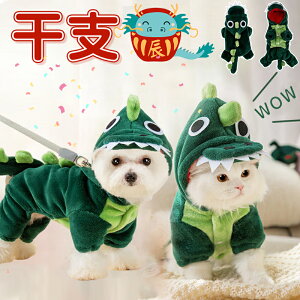 うちの子（犬）が犬服で龍に変身！辰年の年賀状用などにおすすめを教えて！