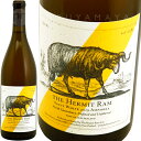 白・750ml North Canterbury【ノース カンタベリー】産のSauvignon Blanc/Pinot Blanc/Rieslingの混醸（比率非公表）。 アンフォラによる14日間のスキンマセラシオンを経て、そのまま発酵/熟成。その名前が示す通り非常に強い塩味を感じさせる堅朗なミネラリティ、更にパッションフルーツとパイナップルのトロピカリティ、ピンクペッパーやミントを想わせるスパイス感のツィスト。アンフォラによる濃密な旨味があり、非常に印象深い味わい。（輸入元資料より） ※写真はイメージです。