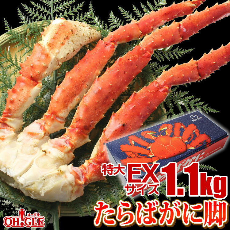 カニ 特大 たらばがに 脚 EXサイズ (1