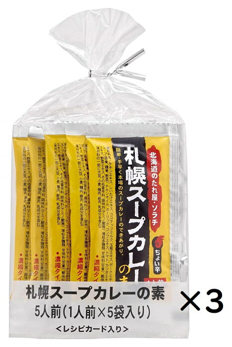 【送料無料】ソラチ 札幌スープカレーの素 25g×5袋入×3