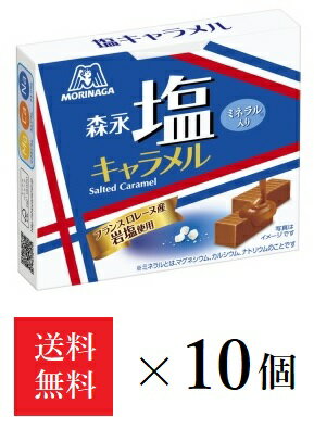 【送料無料】森永製菓 塩キャラメル 12粒×10個