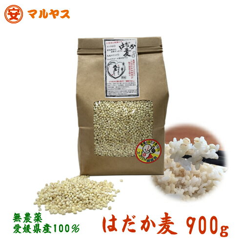 はだか麦 1kg 大麦の上質種 無農薬 愛媛県産【ゆうメール対象送料160円】もち麦と同様,水溶性食物繊維が豊富な裸麦