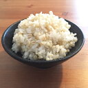 愛媛県産_無農薬 はだか麦_5kg【お徳用】もち麦同様,水溶性食物繊維が豊富な裸麦 大麦の上質種 2