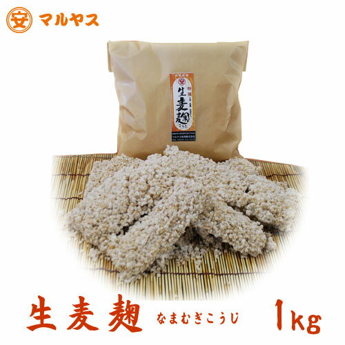 麦麹 無農薬の愛媛県産はだか麦100%使用【生麦こうじ1kg】生麦糀 生麦麹 ひしお（もろみ）のレシピ付き！