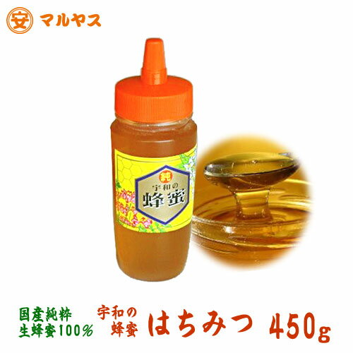 生はちみつ 非加熱 450gボトル ゆうメール不可_愛媛の安心の国産純粋生蜂蜜100％【宇和のはちみつ】生蜂蜜