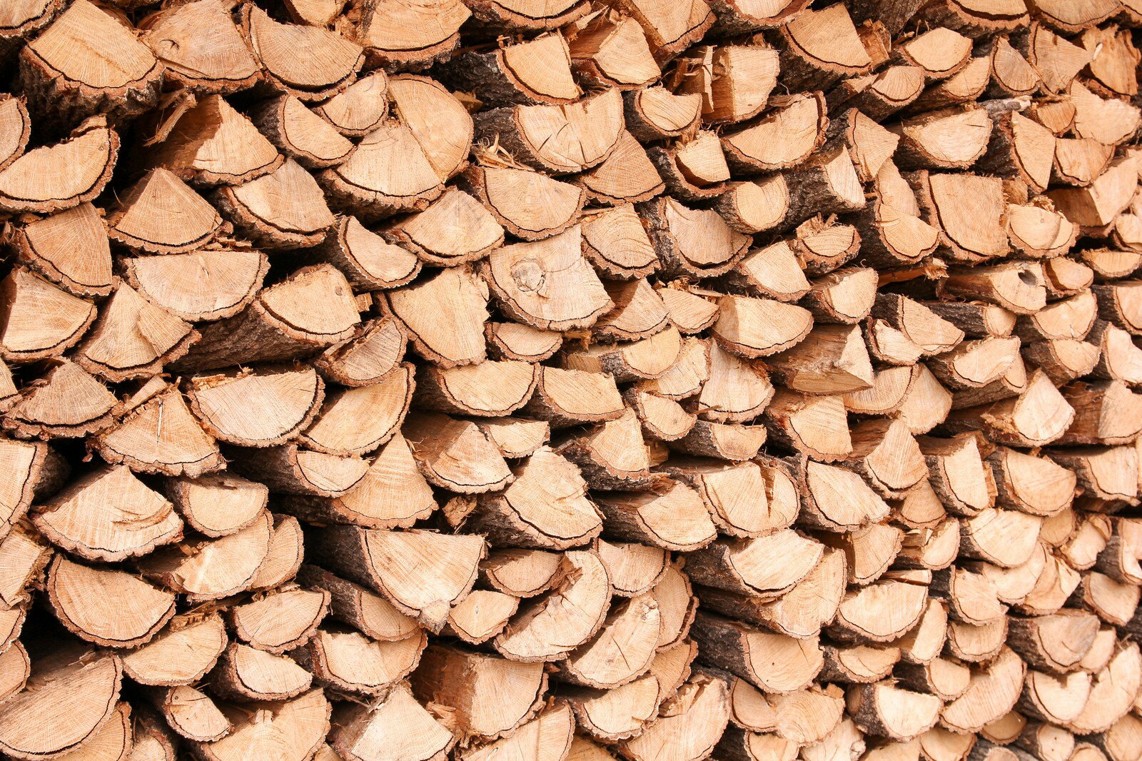 薪 送料無料 ナラ 楢 なら 乾燥 約15kg (2束) キャンプ アウトドア 薪ストーブ 暖炉 広葉樹通販格安セール情報 楽天 通販