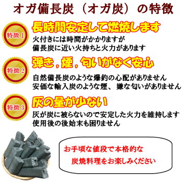 【あす楽】1級 オガ備長炭 オガ炭 おが炭 20kg (10kg X2箱) 火持ち良し 火力安定 七輪 火鉢 バーベキュー(BBQ ) 焼鳥 焼肉