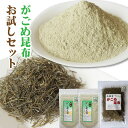 お試し がごめ昆布 (粉末 50g×2個 細切り 30g) 函館産 無添加 フコイダンたっぷりパウダー