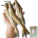 おつまみ 干し 氷下魚(こまい) 約280g 大サイズのみ厳選 北海道産 こまい 4～7尾程度 コマイ 珍味 カンカイ