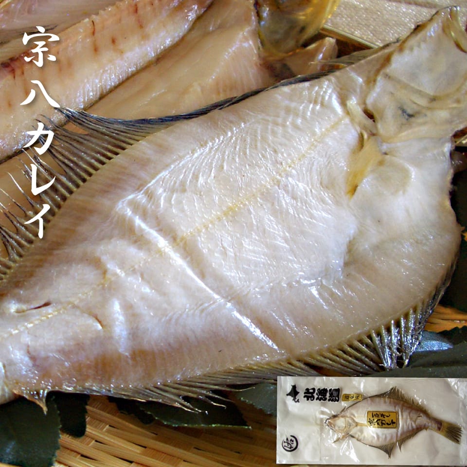 \ポイント5倍/干物 宗八カレイ 一夜干し 大サイズ 約260g 北海道産 ジューシーでふっくらとした身