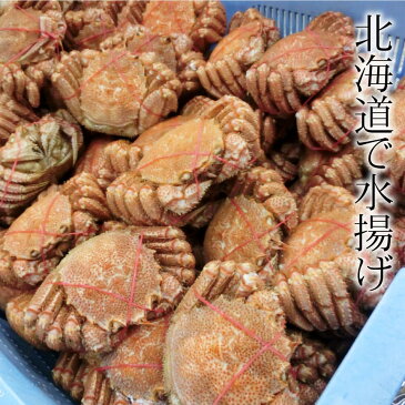 カニ 北海道産 毛ガニ 約500g×5尾 ボイル済 毛がに 身入り抜群 茹で済 カニ味噌 毛蟹