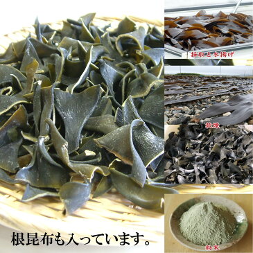 昆布 真昆布 粉末 70g×5個 函館産 真昆布 根を粉末に 無添加 自然食品 パウダー