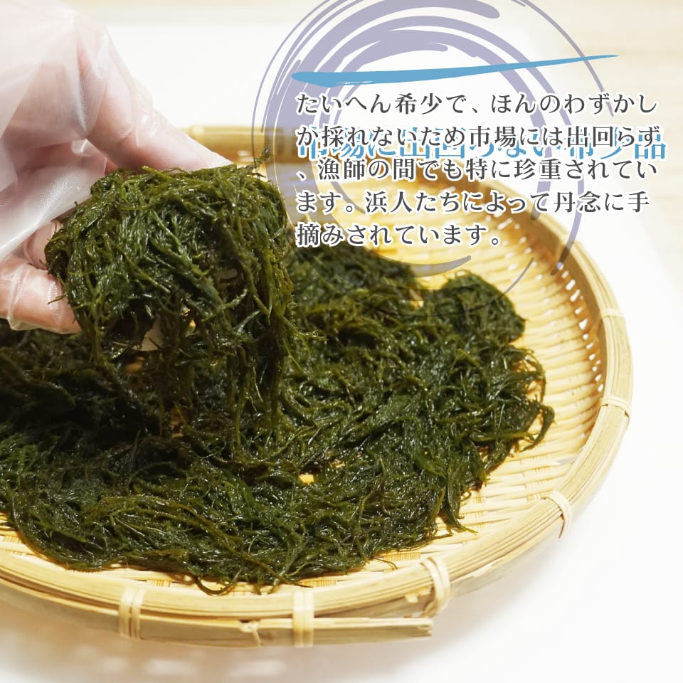 海藻 まつも 10g×3袋 天然海草 函館産 松藻 シャッキッとした歯触りで美味しい 3