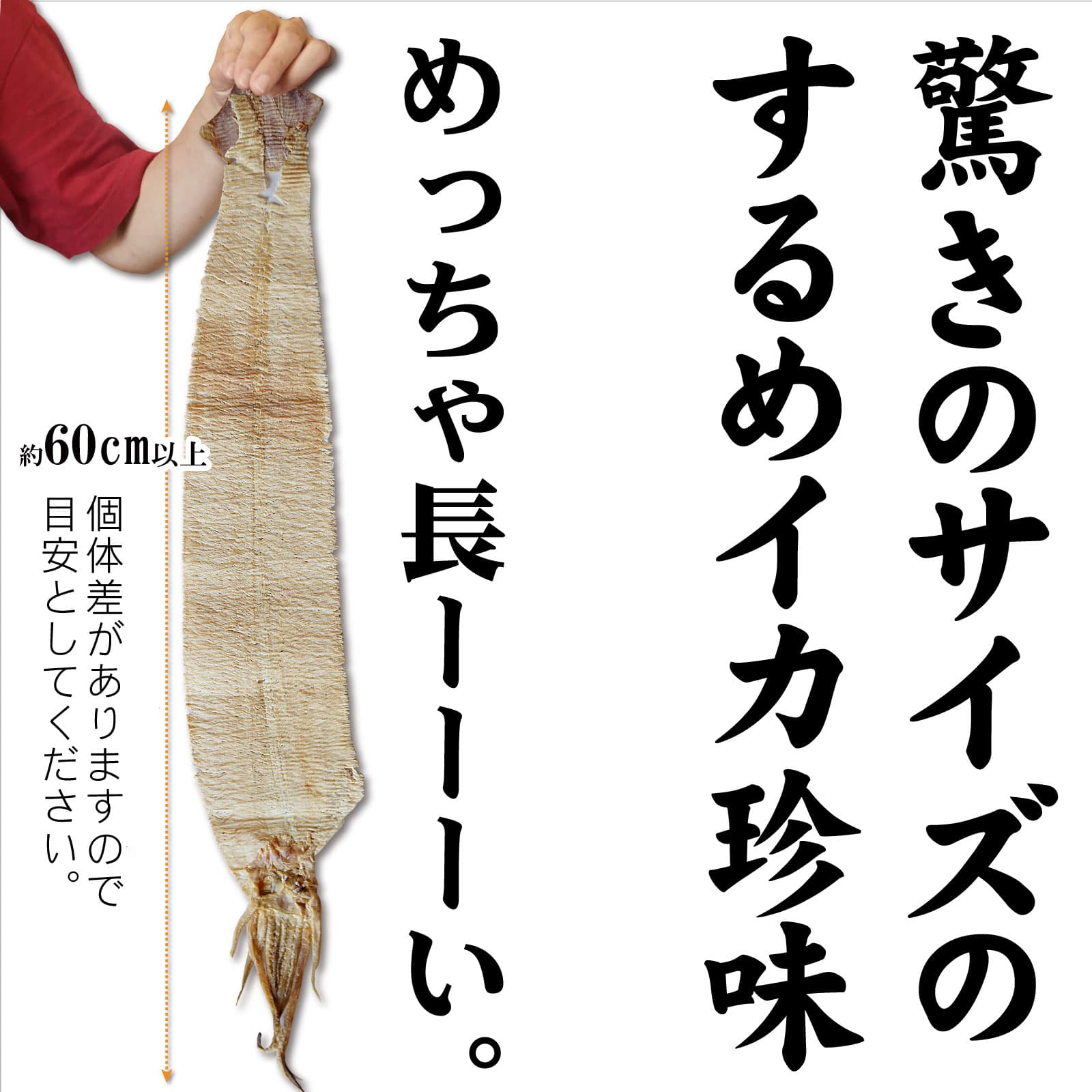 すだれ焼きするめ 1枚 脅威 約80cm長 超特大 国産 無添加 するめ のしいか 珍味 おつまみ