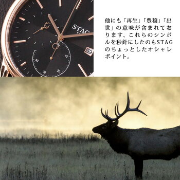 【送料無料】腕時計メンズ牛革ベルトウォッチスタッグSTAGSTG021日本製
