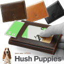 ハッシュパピー 定期入れ パスケース 窓付き Hush Puppies マゴ 牛革 HP0343